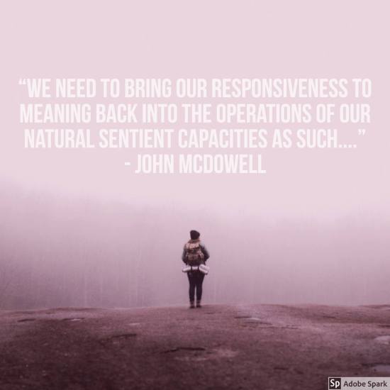 31946635_10156279996683428_4292346528430817280_o